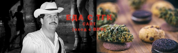 тгк Алексин