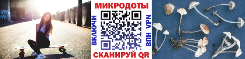 дарнет шоп  Ленинск-Кузнецкий  маркетплейс какой сайт  Псилоцибиновые грибы Psilocybe 